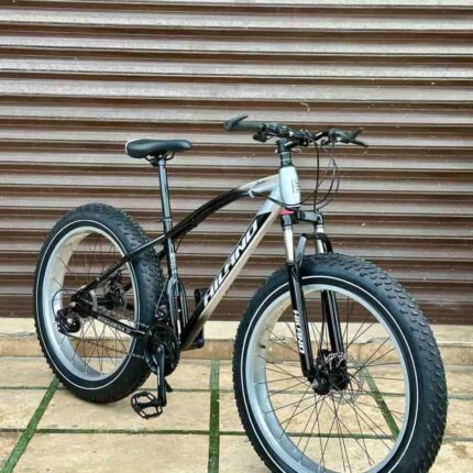 دوچرخه فت بایک هایلند: Fatbike Hiland